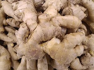 Jengibre (Ginger) - foto real